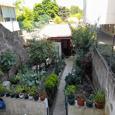 O Alecrim * 波尔图